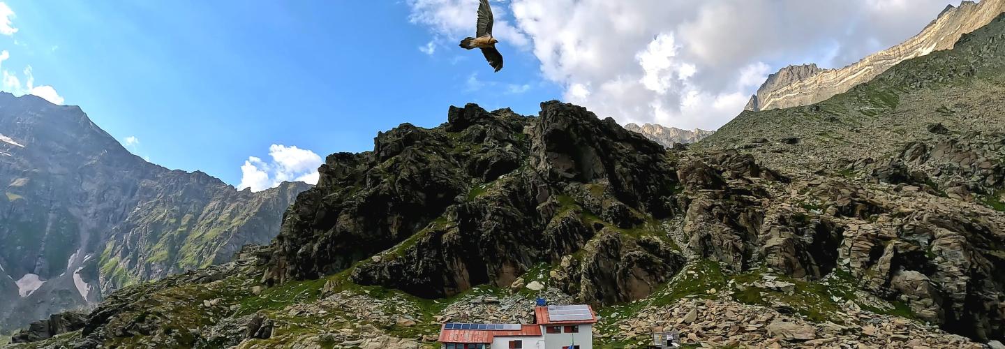 Rifugio Antonio ed Elia Longoni